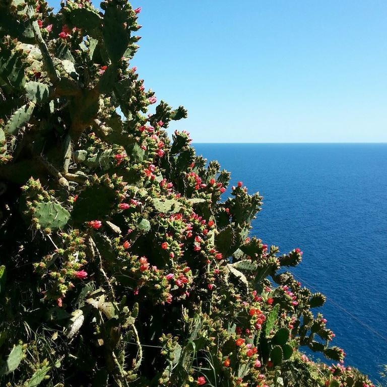 Hotel St. Leonard Forio (Isola d'Ischia) Exterior foto